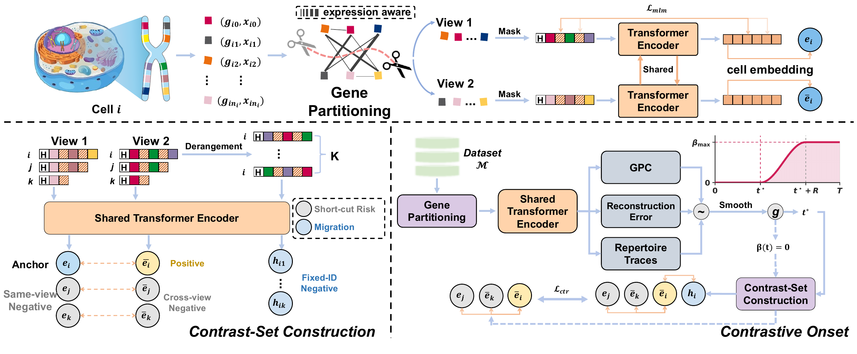 Beyond Gene Reconstruction: Learning Cell Representations through Complementary Transcriptomic Views